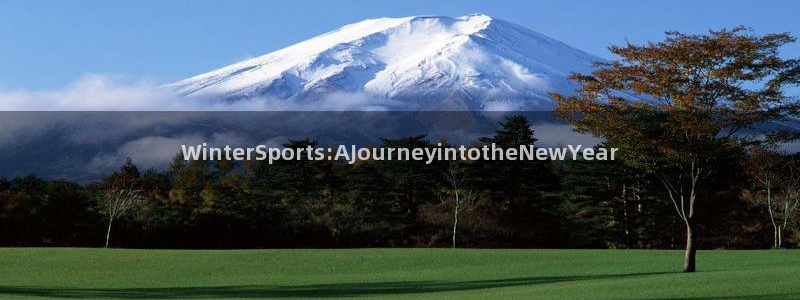 066体育直播网：WinterSports:AJourneyintotheNewYear