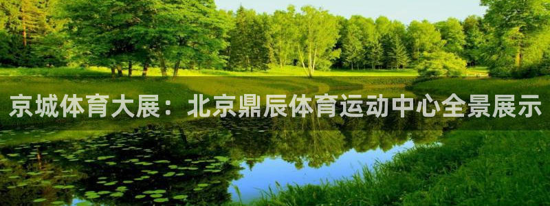 z66体育全站官网：京城体育大展：北京鼎辰体育运动中心全景展示
