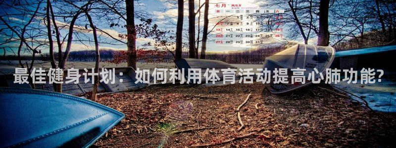 v66体育平台