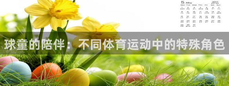 Z66体育APP最新版