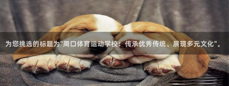 666体育