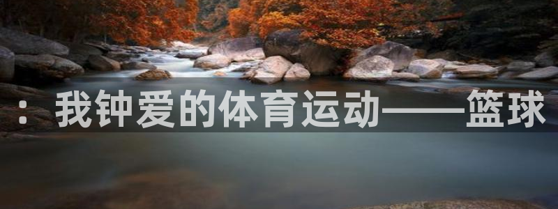 z66体育全站APP下载：：我钟爱的体育运动——篮球
